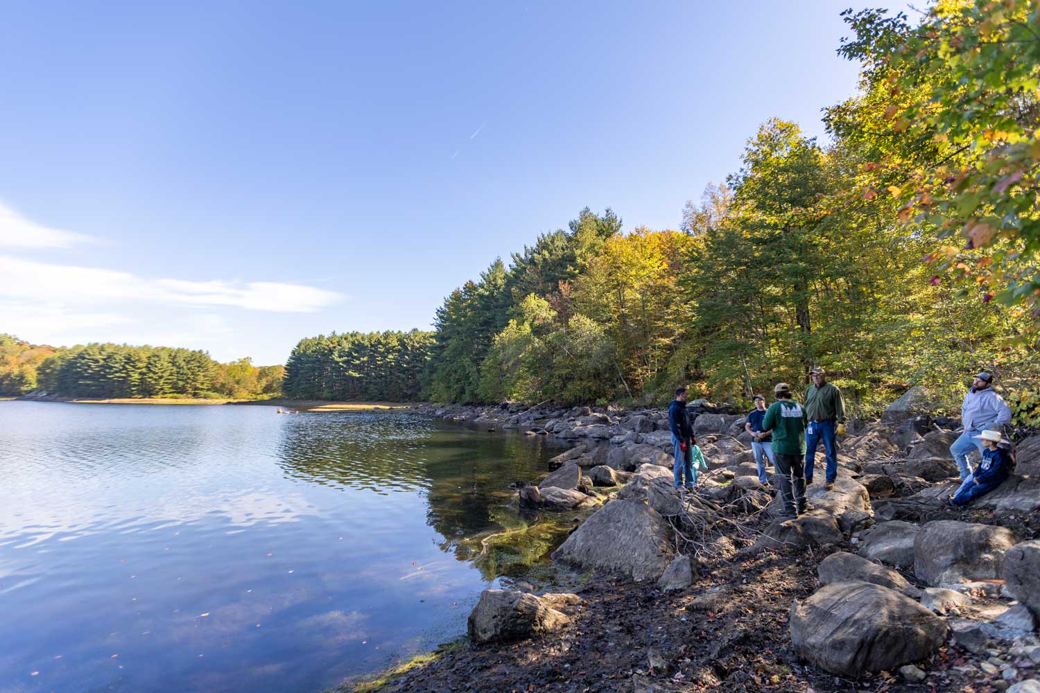 Connecticut Water employee volunteers plant trees along a reservoir in Naugatuck.