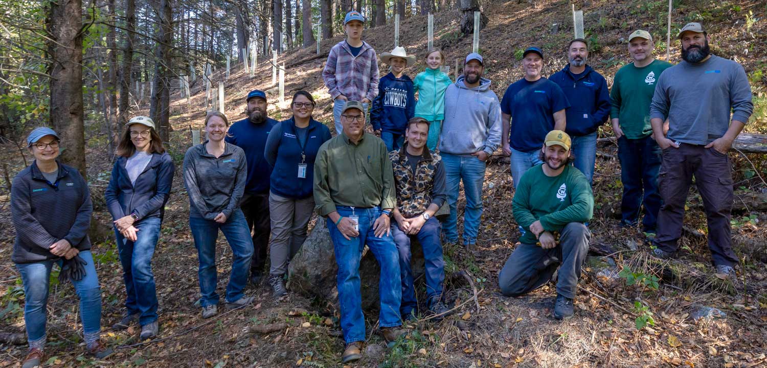 Connecticut Water employee volunteers plant trees