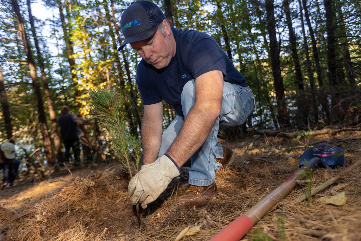 Connecticut Water employee volunteers plant trees along a reservoir in Naugatuck.